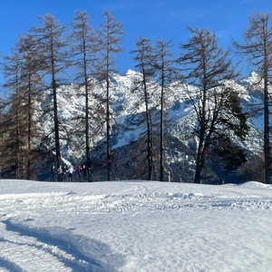 Zoom for hidden athletes