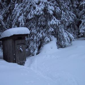 The loo - a highlight in its own right